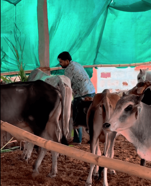 screenshot 2025 09 11 at 4.32.42 pm